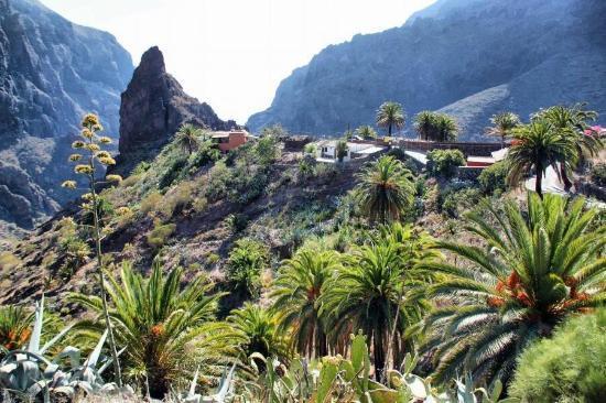 Marody Tenerife House El Médano Exterior foto
